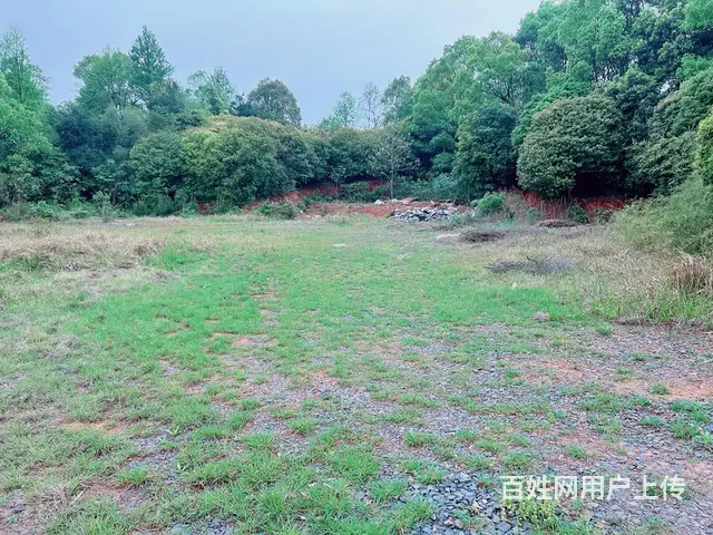 （老板本人）黄花镇独栋厂房仓库出租  6256 - 图片 12