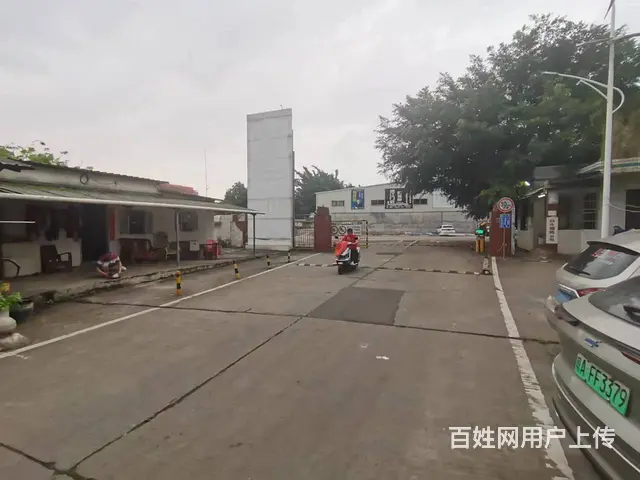 （51旺铺推荐）水头村80平铺面招租 - 图片 4