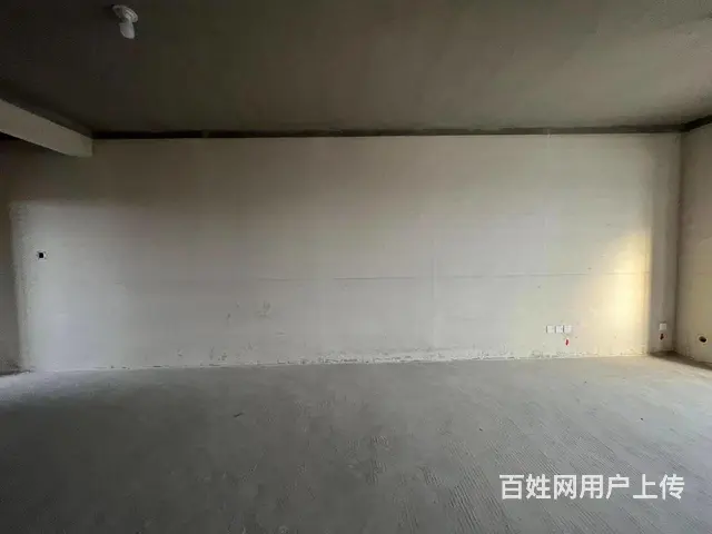 现房毛坯！清流河畔观景房 与市区一桥之隔 紧临万达广场 - 图片 4