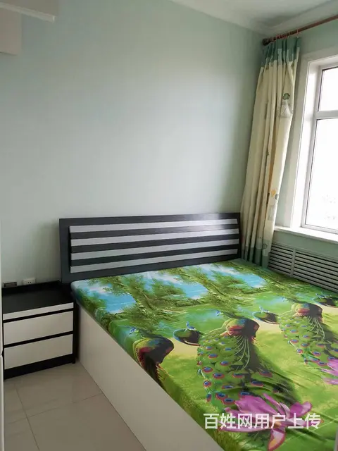 清华名苑 公寓1厅 精装修 - 图片 5