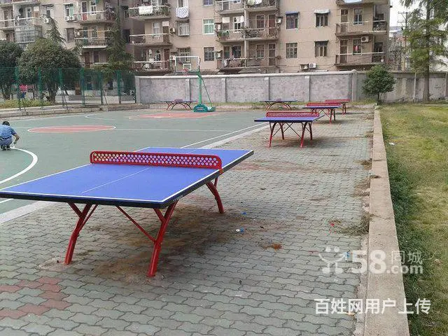 武汉室外乒乓球台 SMC乒乓球台 红双喜乒乓球台 - 图片 3