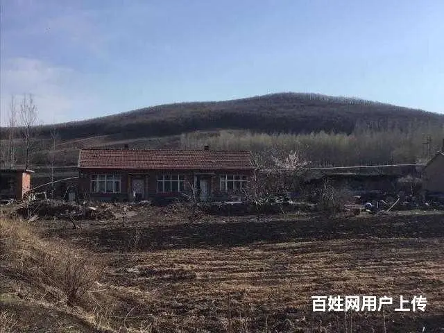 胜利林场鱼塘山庄出售 - 图片 11