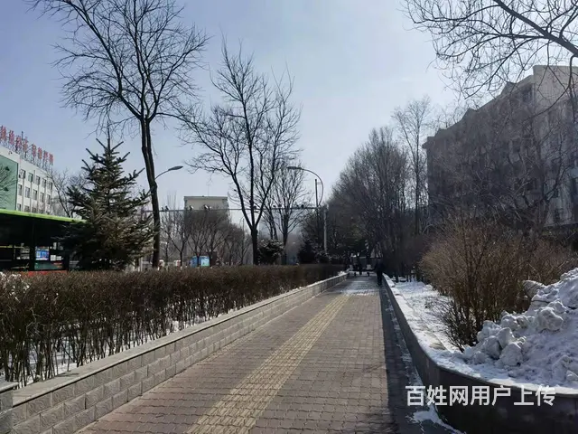 7434（七P）个人城中南山路女子对面临街商铺招租 - 图片 3