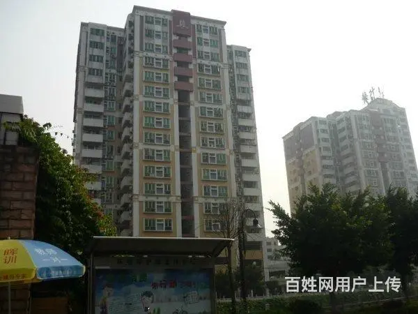 经典3房，户型方正，视野开阔，采光充足。 - 图片 10