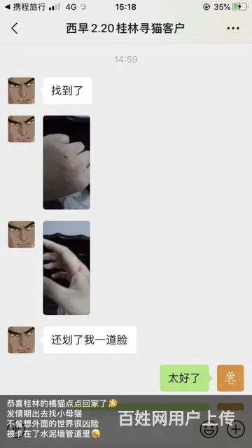 苏州猫咪丢了怎么找 专业找猫寻狗团队来帮你 - 图片 11