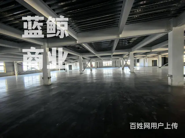 开发区2万平厂房可分组 - 图片 6