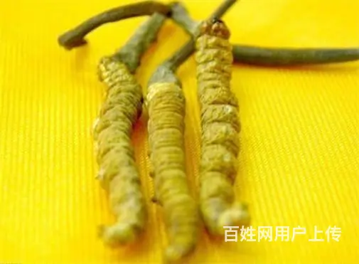 天河冬虫夏草回收价格-天河回收礼盒装虫草咨询 - 图片 5