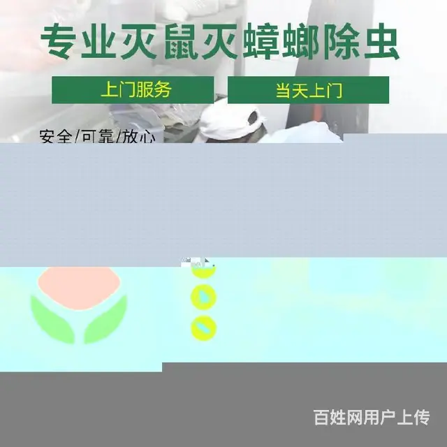 泰山区杀老鼠晨曦控虫消杀公司 - 图片 1