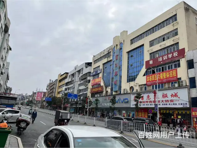 房东直租 I88 桃洪中路 9OI6 整栋或分层招租9668 - 图片 4