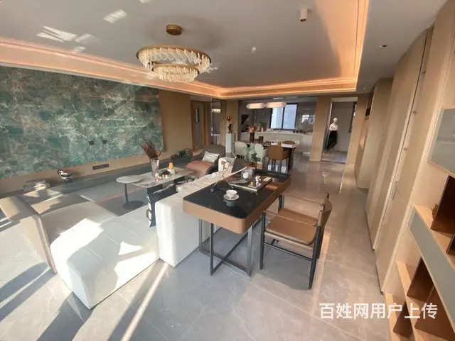 城南 改善型高端品质 不看标价渠道 金鹏壹品 近吾悦广场 - 图片 4