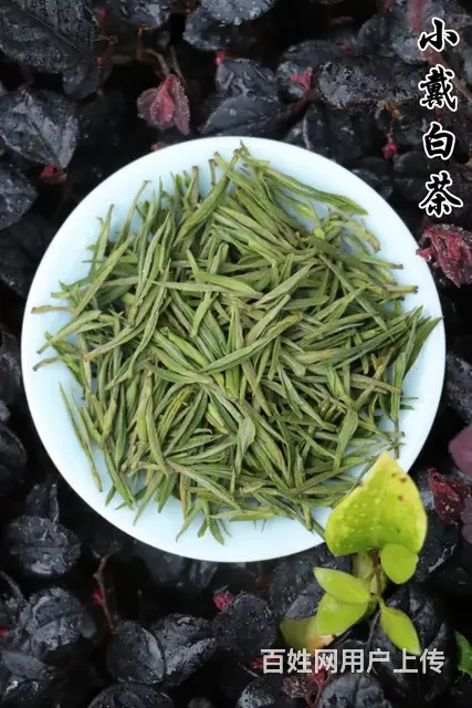 安吉白茶 我们从源头出发 小戴白茶 - 图片 2