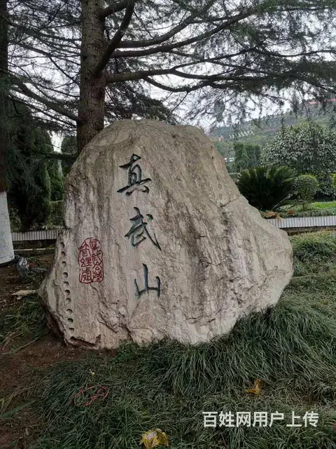 二手集装箱，海运集装箱出售，全部批发价出售 - 图片 5