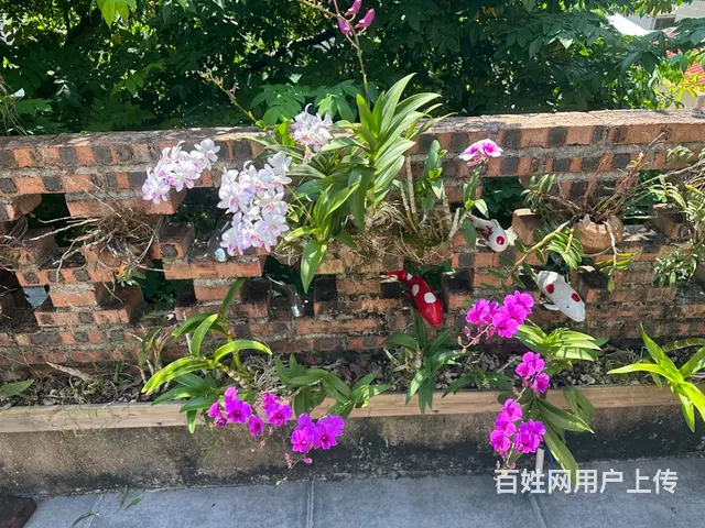 海景大宅 - 图片 8