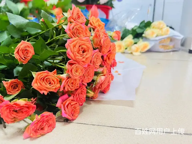 苏州石湖东路地铁口插花花艺师线下培训 - 图片 2