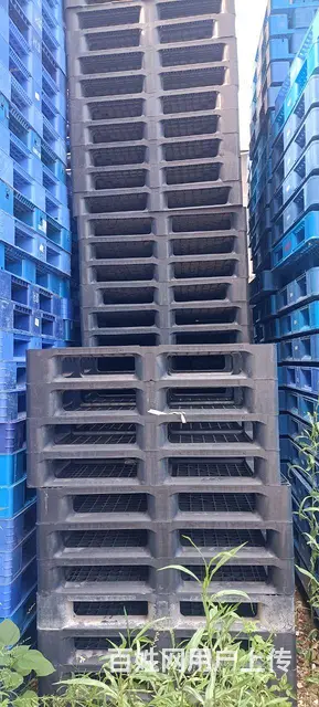 石狮塑料托盘二手塑胶卡板回收出售木托盘木栈板地牛叉 - 图片 2
