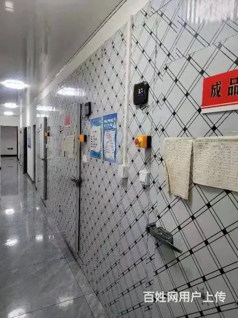 肉食加工厂出兑，和平区厂房出 租出兑（独院）食品厂出兑 - 图片 7