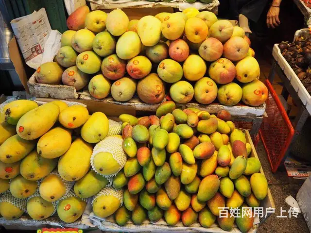 博鳌镇特产大全 博鳌镇土特产推荐 博鳌镇有什么特产 - 图片 2
