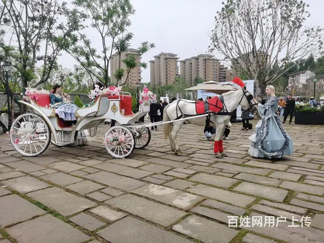 成都周边租花轿步撵大花轿，租喜轿轿夫，唢呐锣鼓 - 图片 9