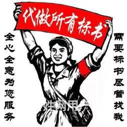 合肥标书代写公司团队做标书多少钱团队制作投标文件 - 图片 6