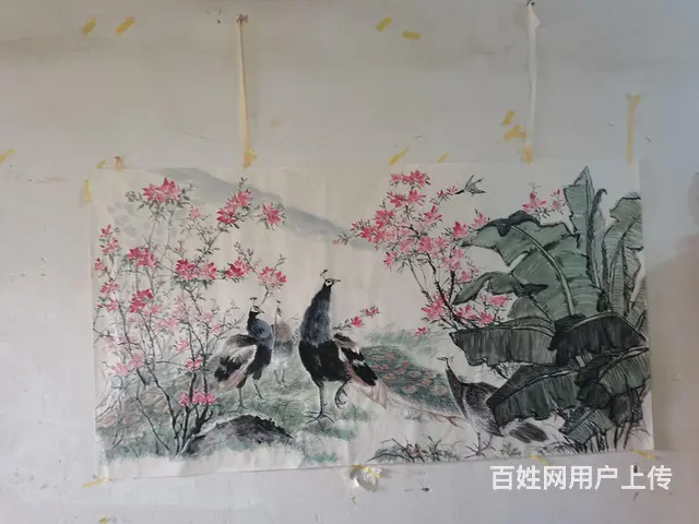 六尺纸花鸟画手绘，孔雀 - 图片 1