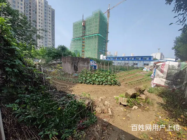 出租溧阳罗庄路土地，6646平方米 ，非诚勿扰 - 图片 2