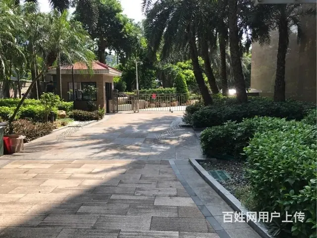 吉大 九洲钟学旁 景山一号 高品质 好房 精装修3房 - 图片 12