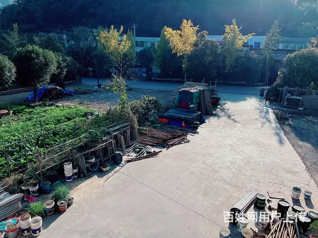 （老板本人）岳麓区北二环独栋房屋带场地出租  5653 - 图片 5