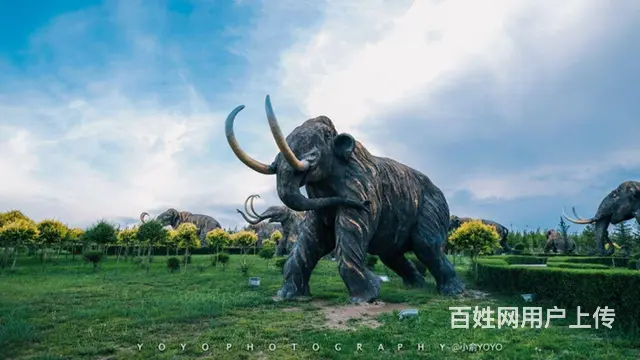 呼伦贝尔旅游攻略阿杰领队好 - 图片 3