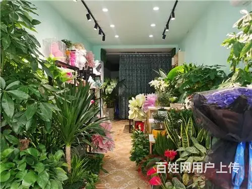 （达州铺源网）西外御景上城对面40㎡花店转让 - 图片 6