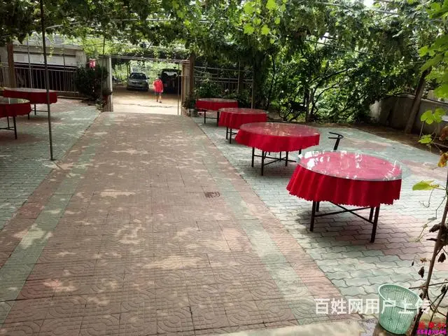 昌黎葡萄沟农家院，昌黎葡萄沟翡翠轩，昌黎海边农家院 - 图片 3