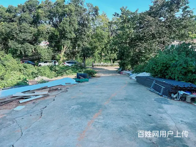 （老板本人）岳麓区雷锋大道边新建厂房/仓库出租6720 - 图片 9