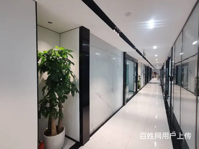 成都长宝大厦-精装修！拎包入住！还价就租 - 图片 1