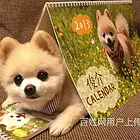 林芝博美繁殖场博美犬舍联系方式