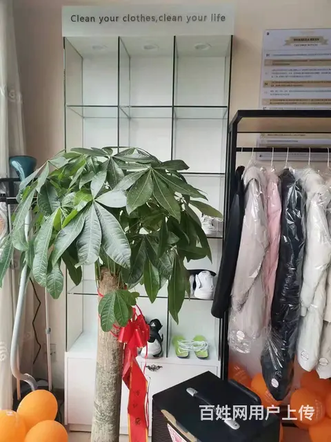 袁州区卢洲北路53平干洗店转让 - 图片 5