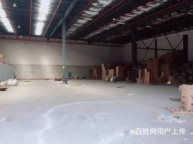 （老板本人）望城金桥仓储物流中心一楼厂房仓库优价出租6118 - 图片 7
