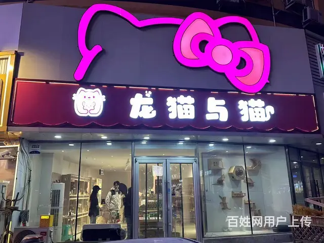 大什字街旺地宠物店出兑 - 图片 5