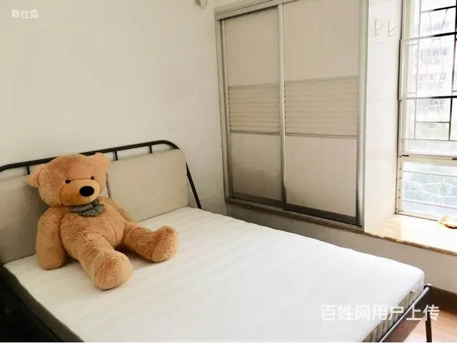 白天鹅花园 南向精装  住这里 让别人在赞美面前低 - 图片 12