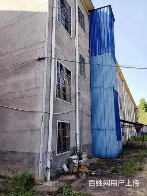 湘江新区金州大道附近厂房仓库出租 - 图片 4