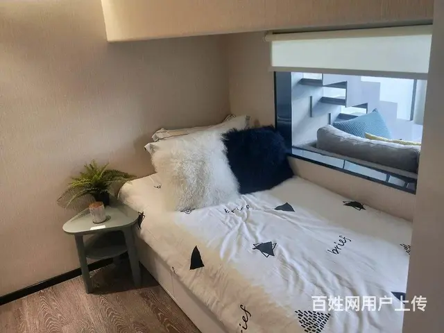 万达旁的公寓 无需设保，不限勾 现买现住 精装现房 - 图片 3