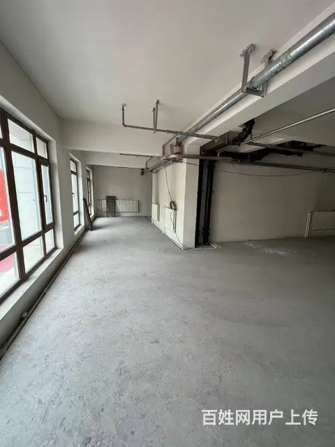 【搞定了！】道里区群力四方台大道桐楠格门市出租房主直租 - 图片 11