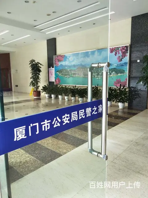 厦门绿植租赁、绿化工程、绿植养护、办公室绿植 - 图片 5