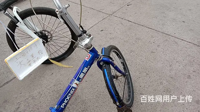 凤凰折叠自行车 - 图片 1