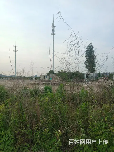 山坡平地出租，水电齐全。 - 图片 1
