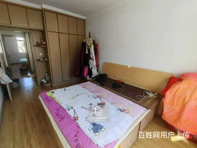 长青路学区桃源居五楼，通厅户型 - 图片 4