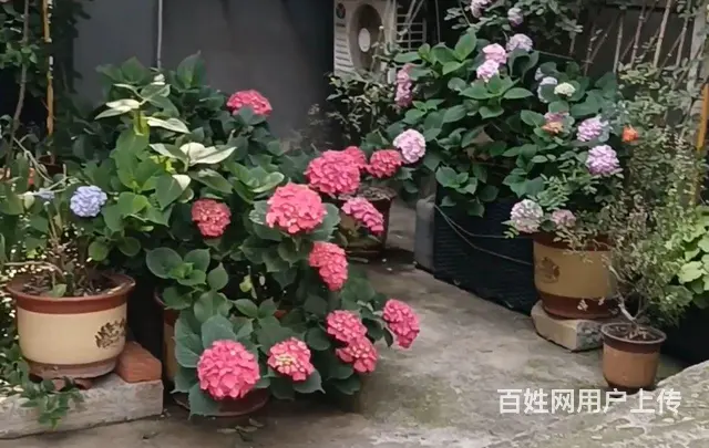 市中心地段环境静雅舒适 - 图片 11