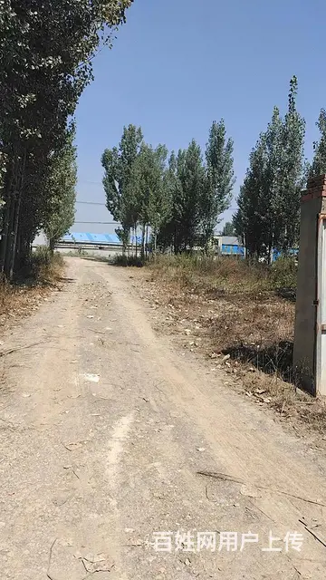 （58今铺）费县600平厂房 建设用地 带大院子 带配房 - 图片 3