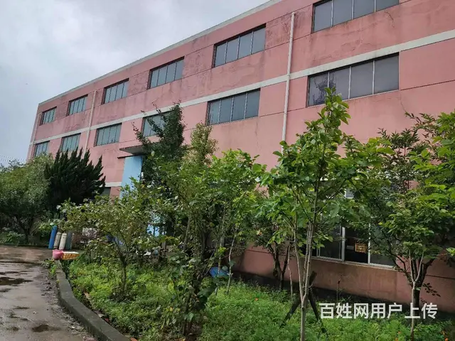 常州金坛区厂房出租3300平 - 图片 1