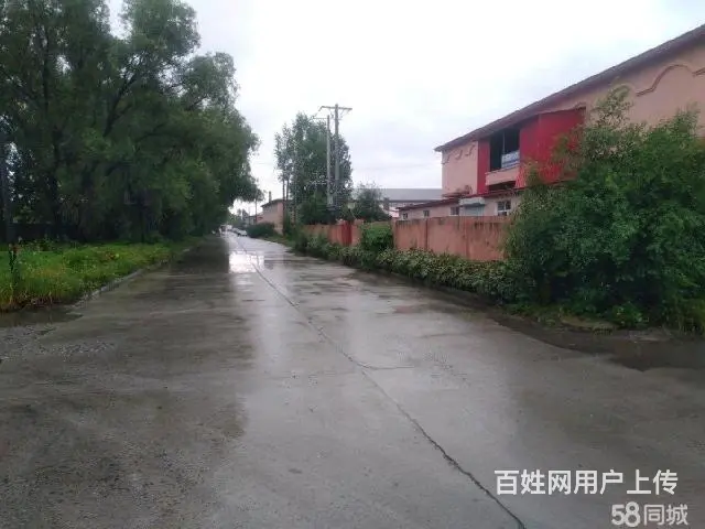 松北区中源大道厂房库房出租 - 图片 2