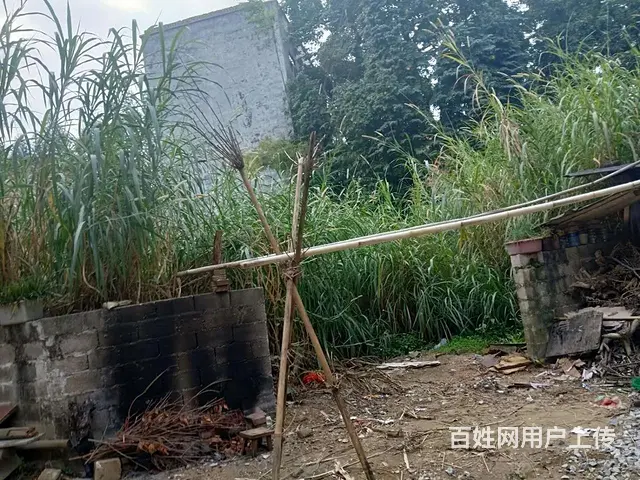 龙径附近土地岀租 - 图片 5