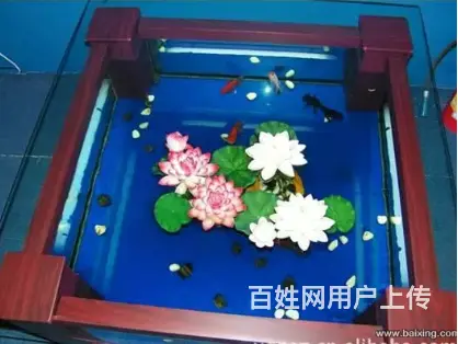 昆明专业鱼缸清洗，鱼缸修复，鱼缸定制，鱼缸搬家 - 图片 10